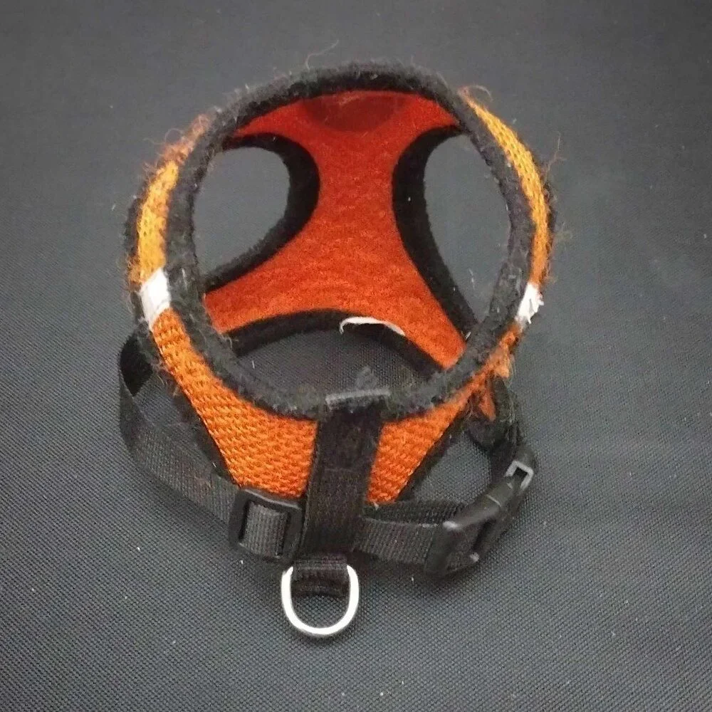 Size Small - Reflective Kitty Cat Harness and 45